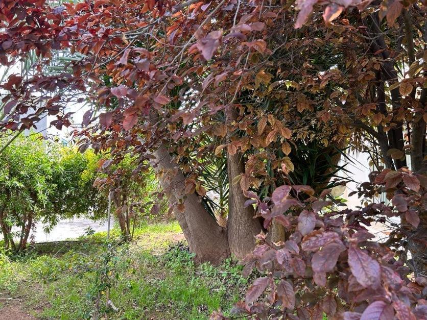 Giardino A Mare Bari Exterior foto