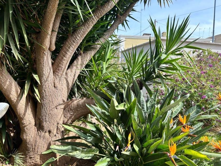 Giardino A Mare Bari Exterior foto