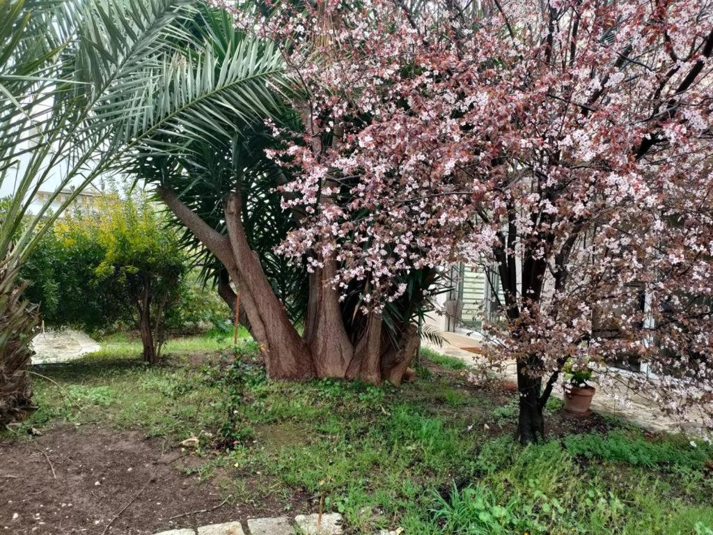 Giardino A Mare Bari Exterior foto